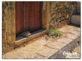 Warm and dusty steps